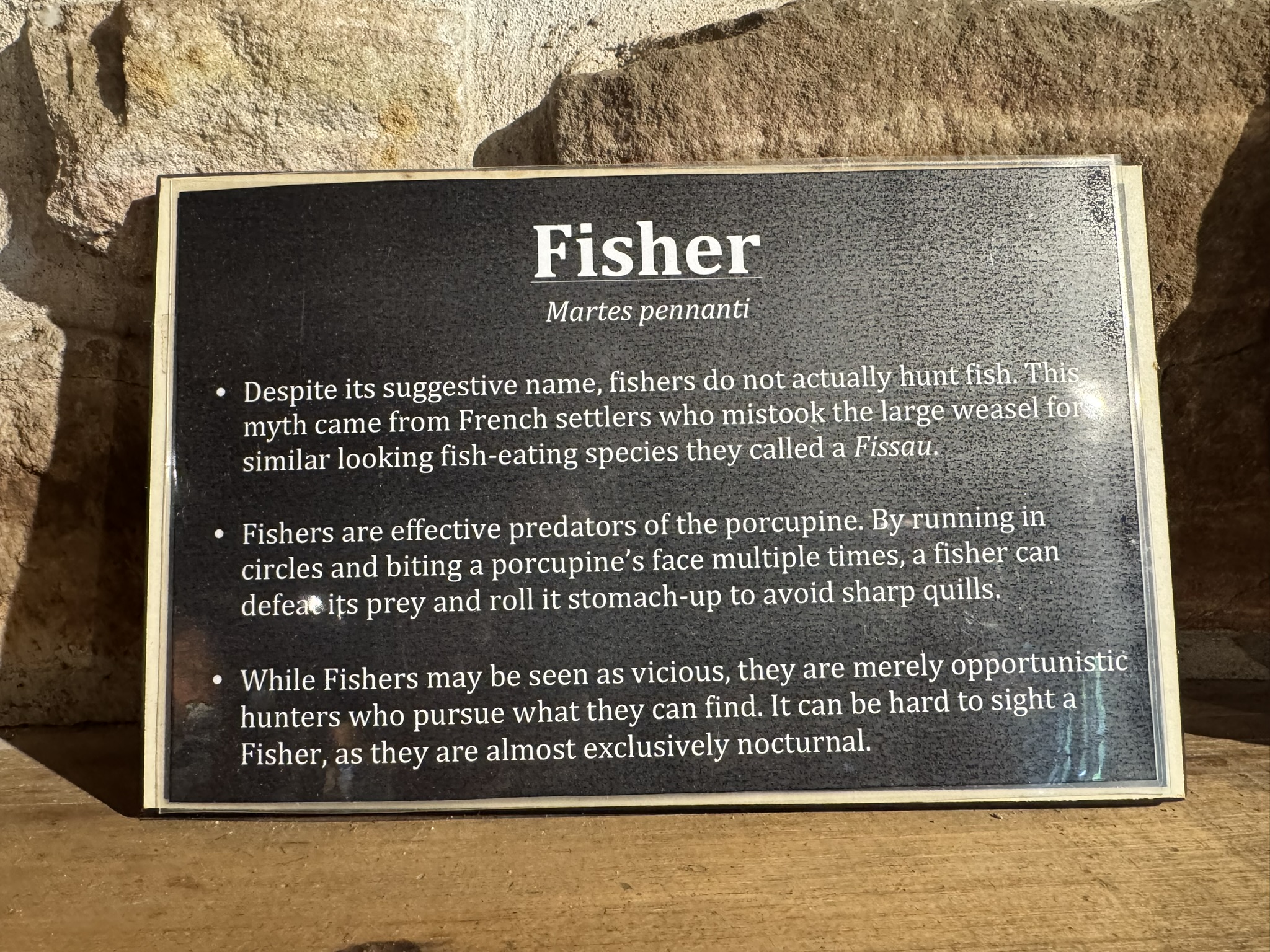 Plaque